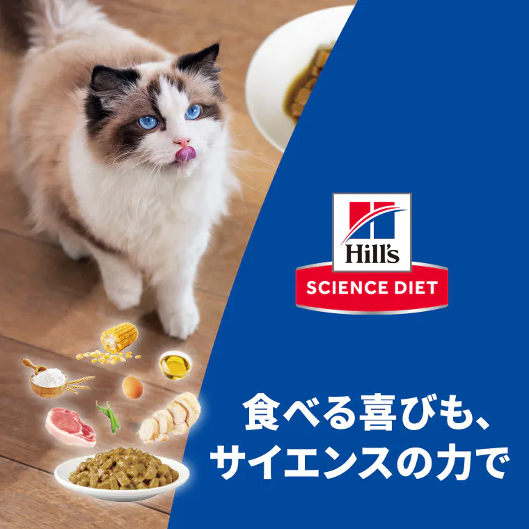 サイエンス・ダイエット 新しいウエットフード（猫用）販売中