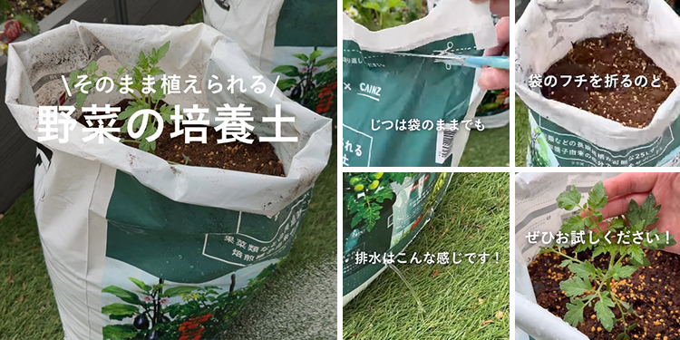 あした、なにする？】家庭菜園のあるくらし｜ホームセンターのカインズ