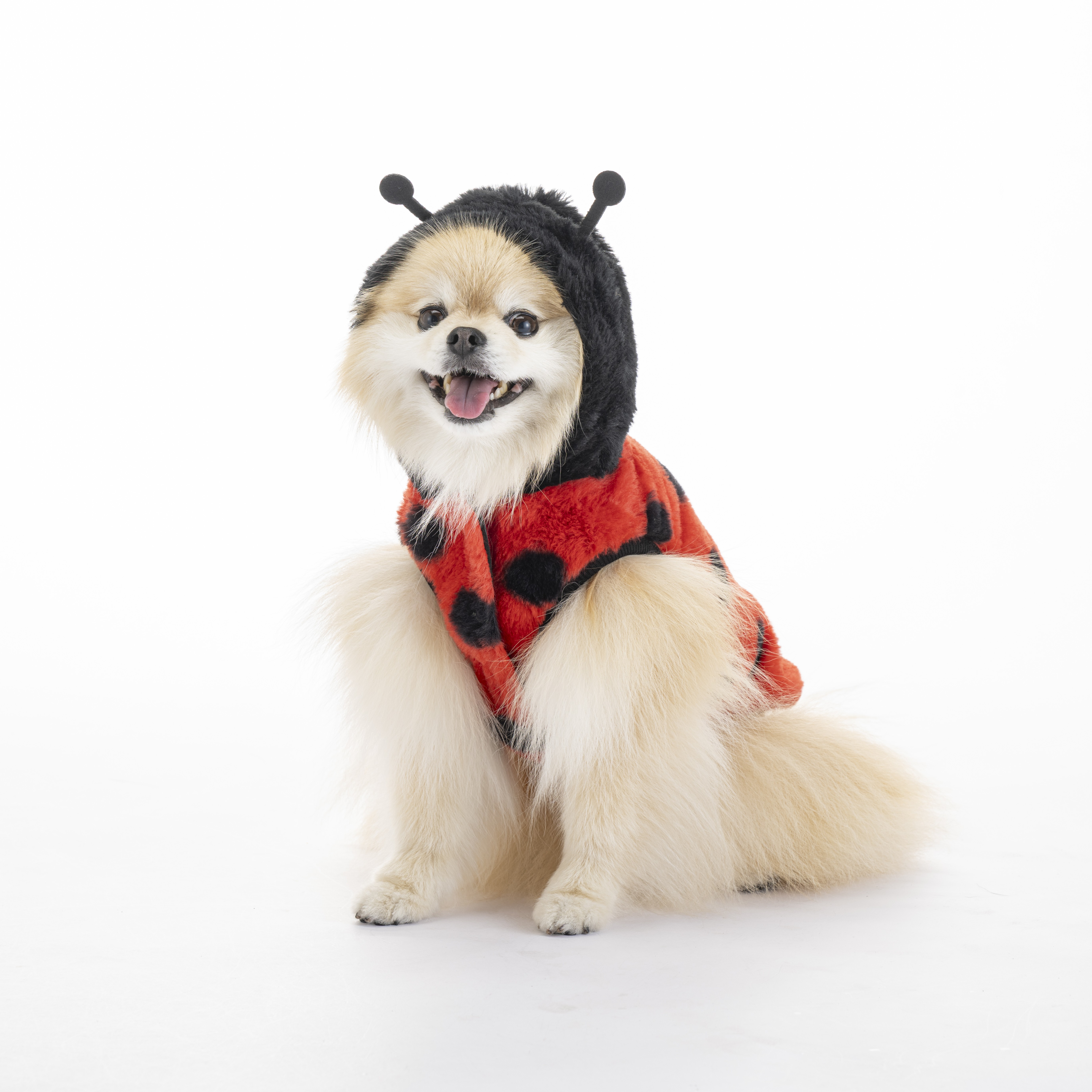 2026年秋冬】犬服・ドッグウェア特集｜機能・サイズ・犬種別