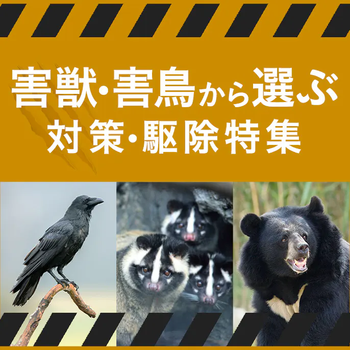【害獣・害鳥から​選ぶ】対策・駆除特集