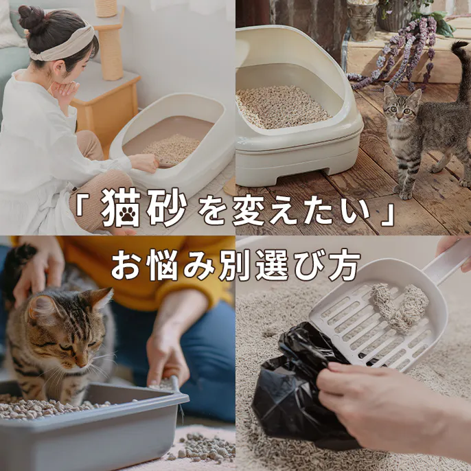 猫砂の選び方・おすすめ商品一覧