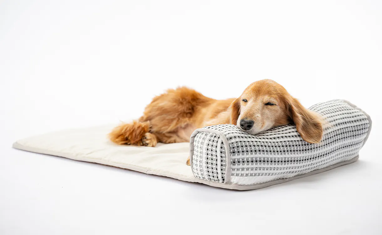 pet_bed_4550596212203_1220x752.jpg