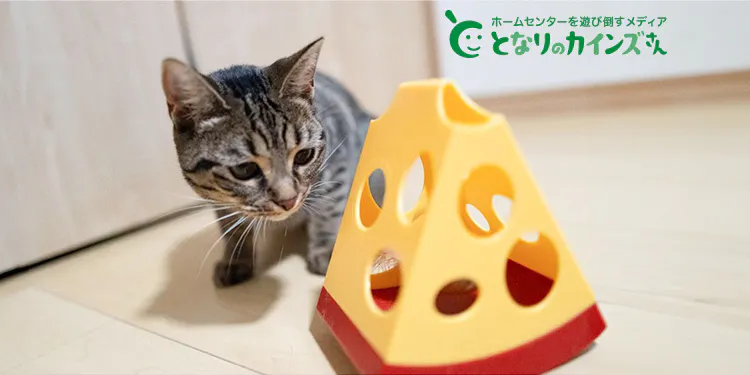 となりのカインズさん