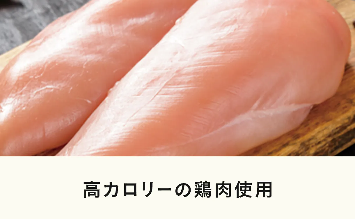 子猫／妊娠・授乳期用キャットフード