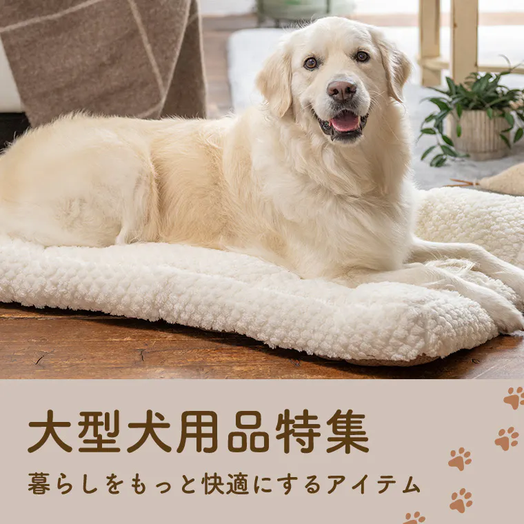 おすすめの大型犬用品