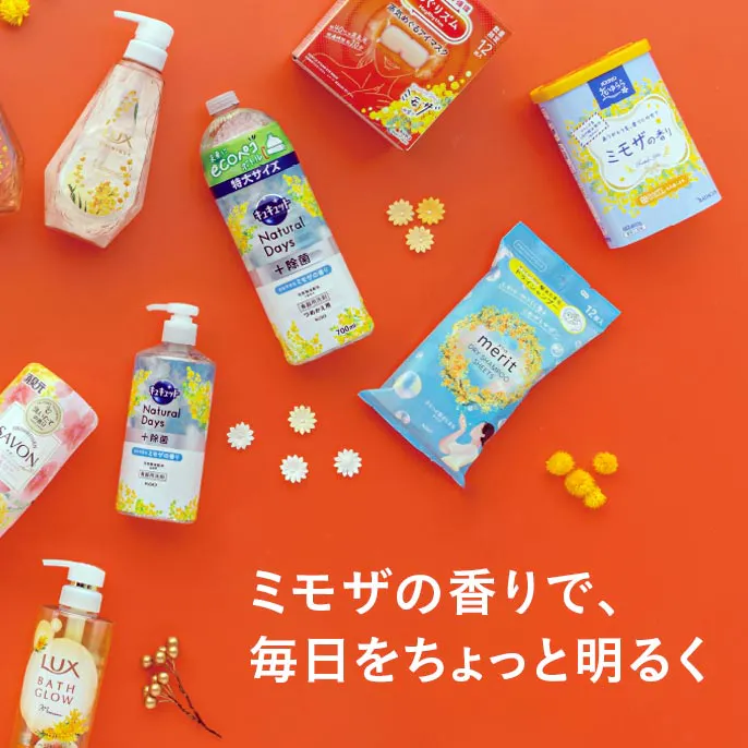 季節の香りを楽しもう【ミモザ】