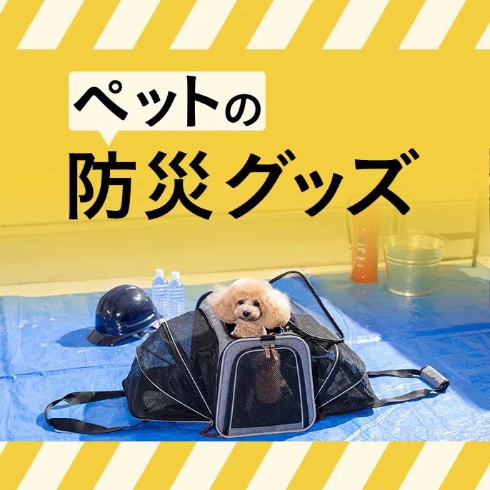 ペットの防災グッズ