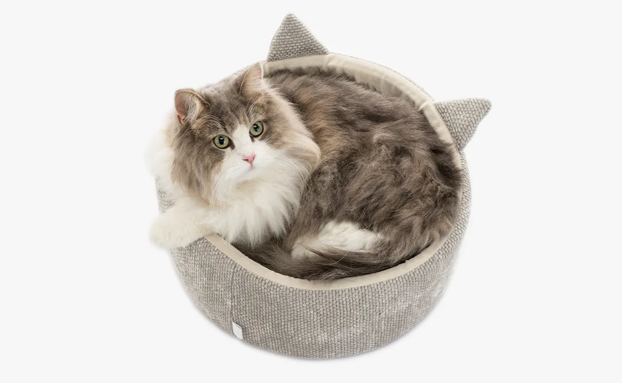 包まれた場所が好きな猫に​おすすめのペットベッド