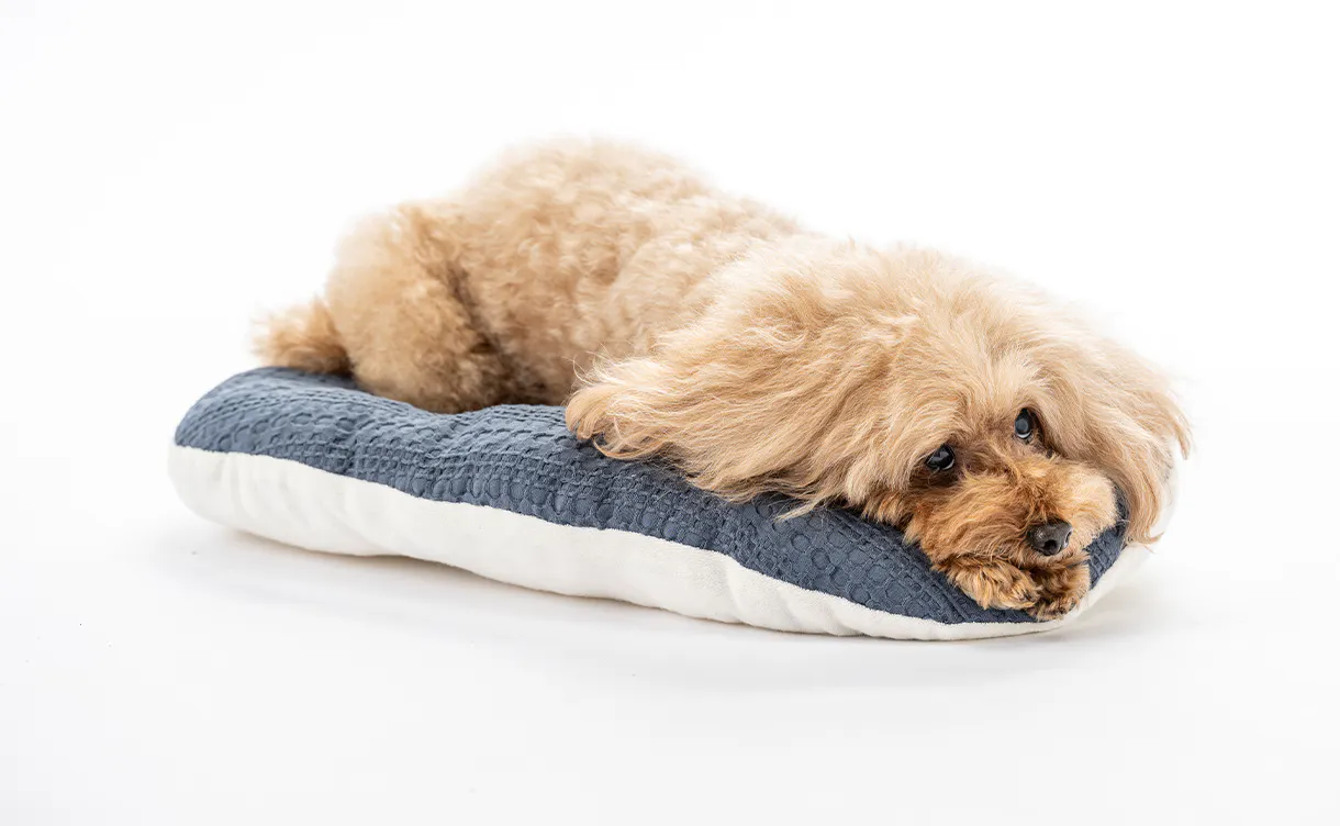 pet_bed_4550596202471_1220x752.jpg