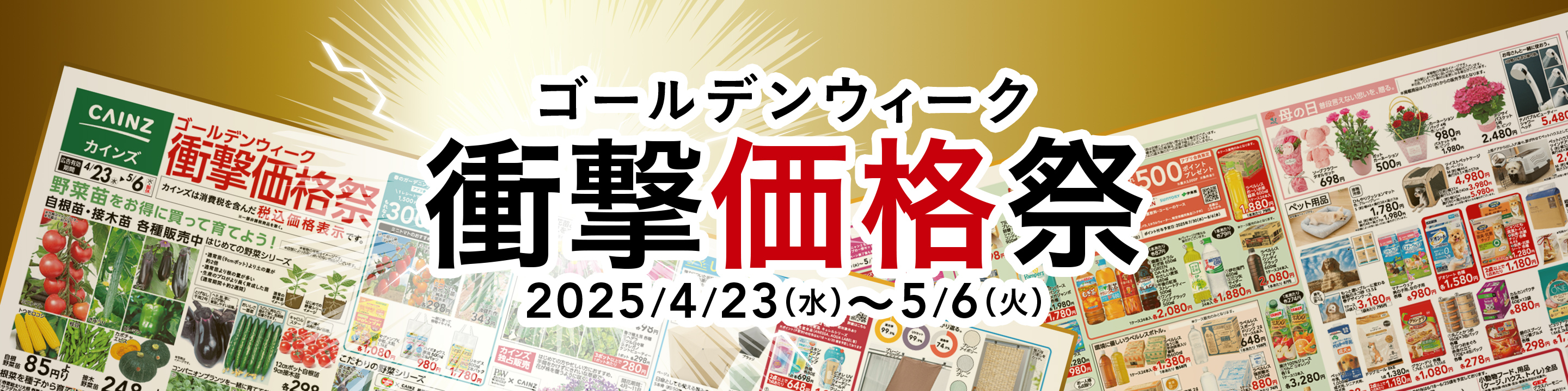 ホームセンター通販のカインズ