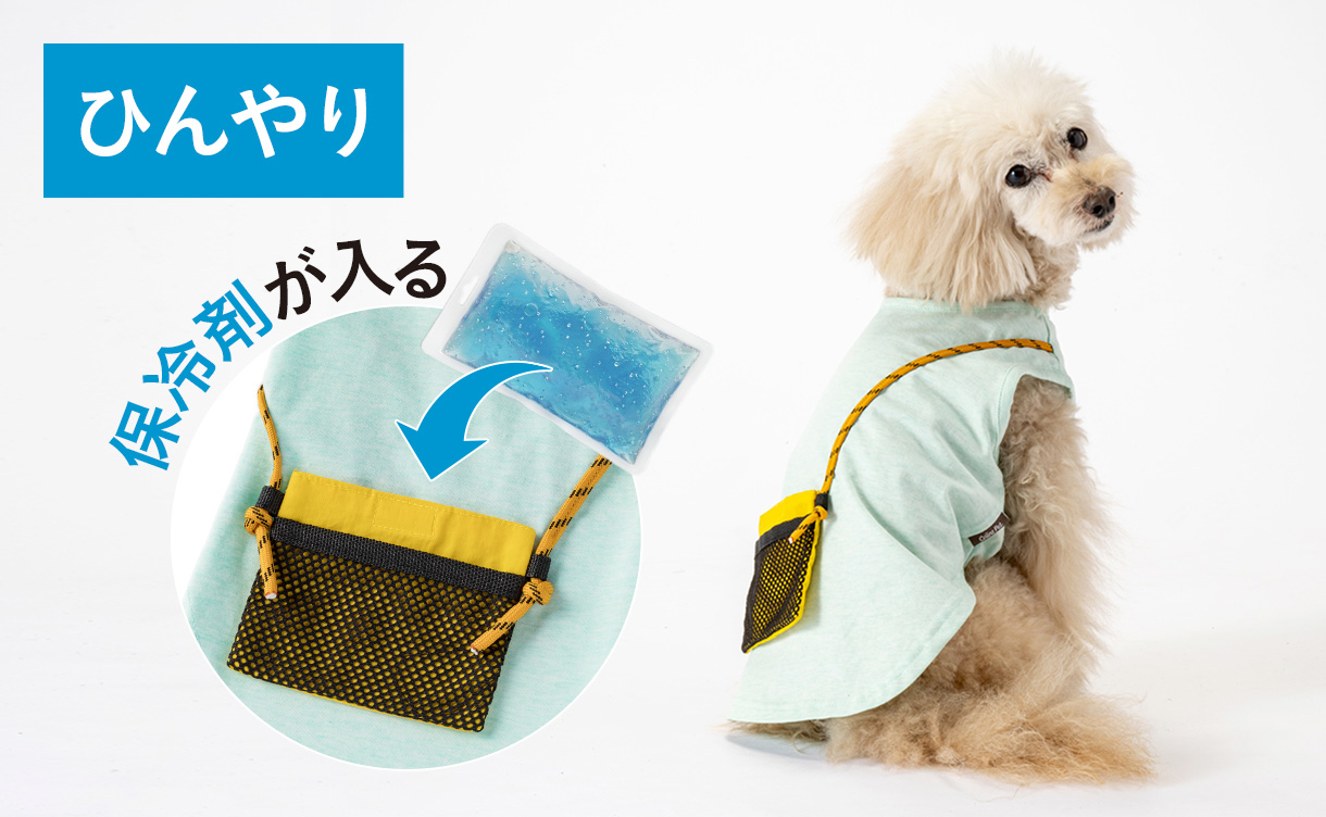 2026年春夏】おしゃれでかわいい犬服・ドッグウェア特集｜ひんやり機能