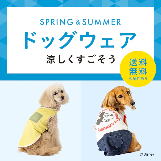 【2026年春夏】おしゃれでかわいい犬服・ドッグウェア特集|ひんやり機能・形・サイズ別
