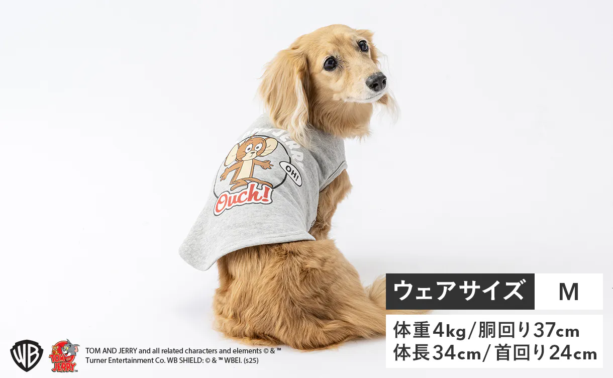 pet_wear_img06_1220x752.jpg