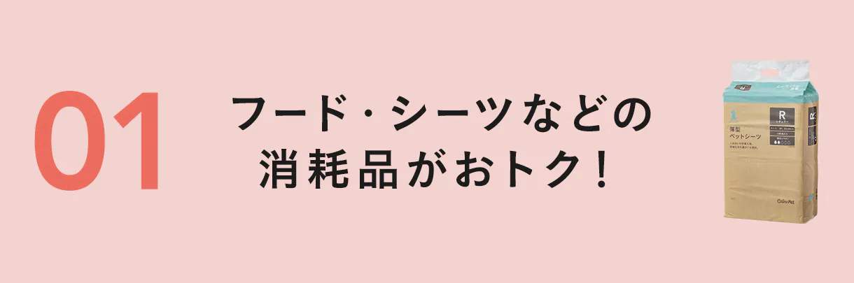 おトクなキャンペーン
