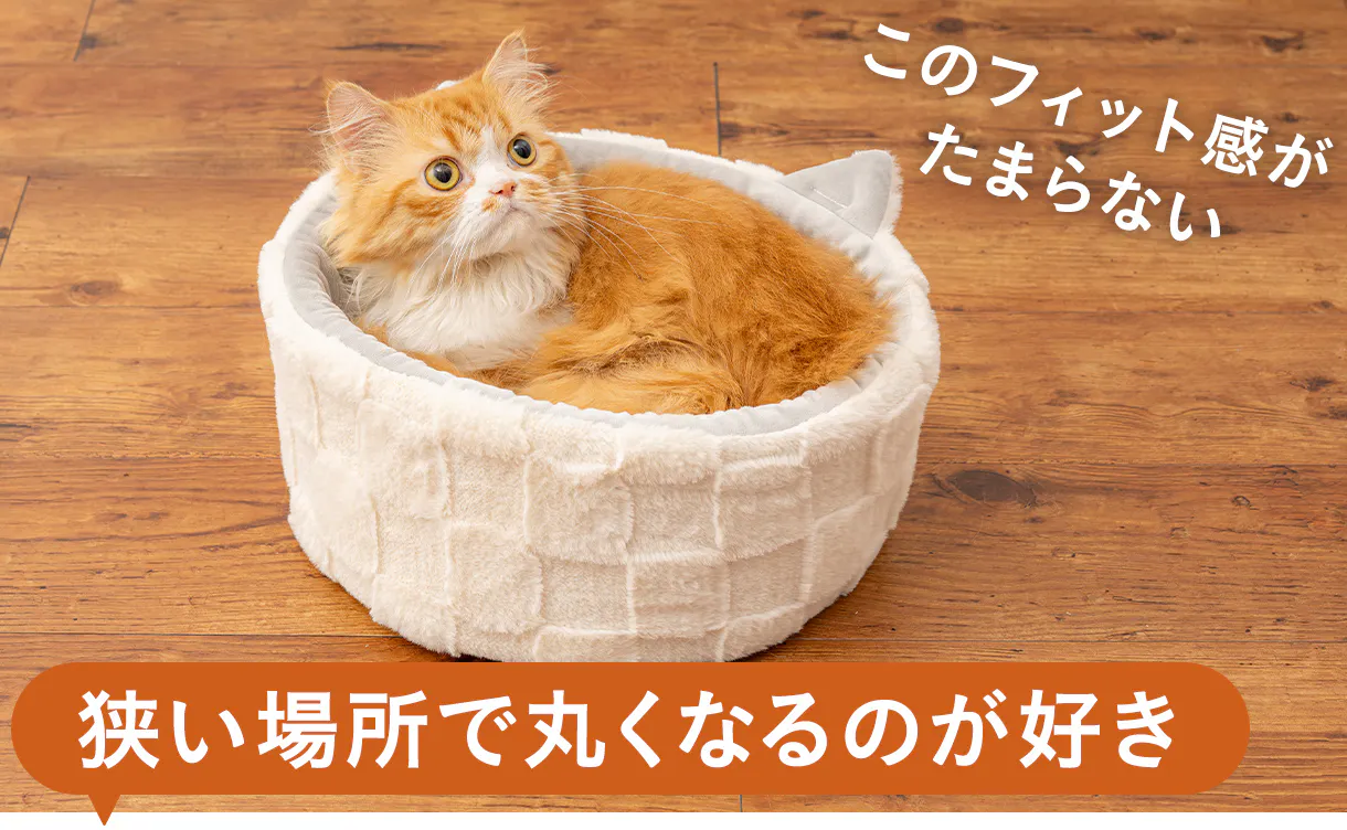 猫用ペットベッド