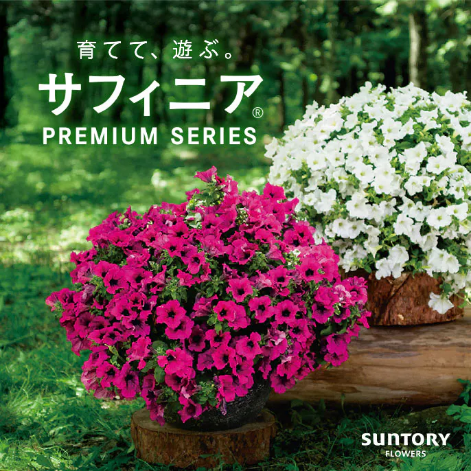 花を育てて、共に過ごす歓びを。