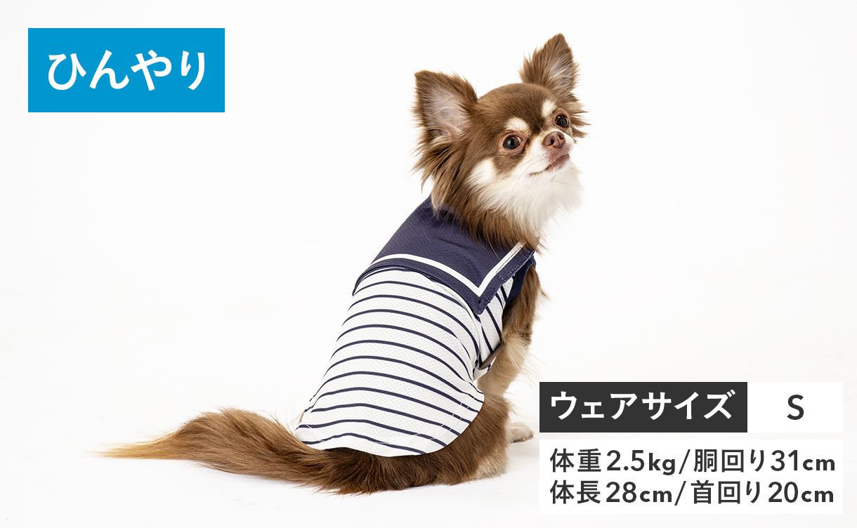 2026年春夏】おしゃれでかわいい犬服・ドッグウェア特集｜ひんやり機能