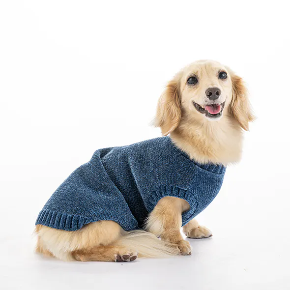 pet_wear_gallery_img4_590x590.jpg
