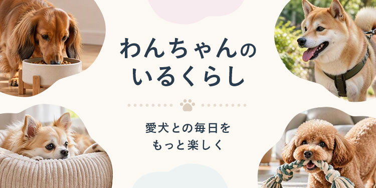 わんちゃんのいるくらし｜ホームセンターのカインズ公式通販サイト