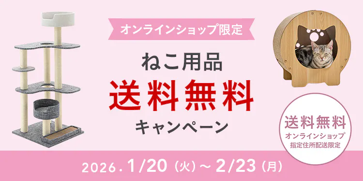 オンラインショップ限定キャンペーン（ねこ用品）