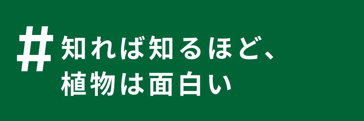 もっと楽しむ