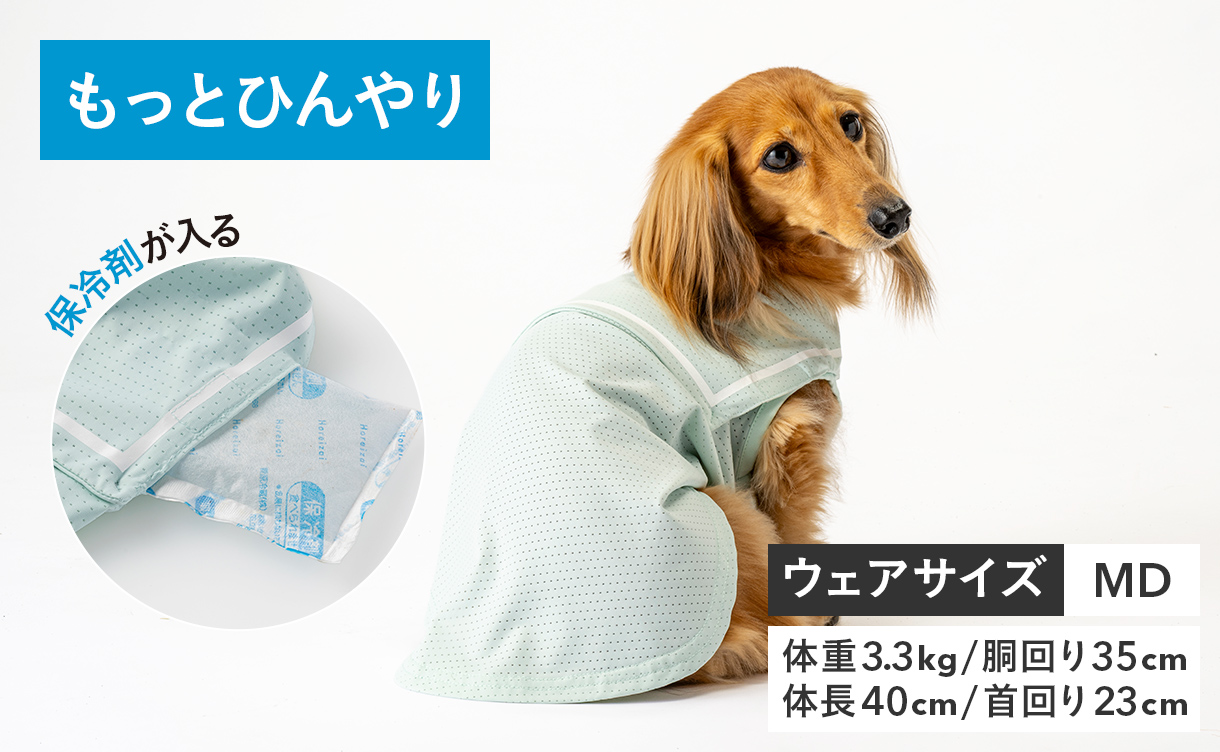 2026年春夏】おしゃれでかわいい犬服・ドッグウェア特集｜ひんやり機能