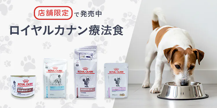 【店舗限定】ロイヤルカナン療法食の購入について