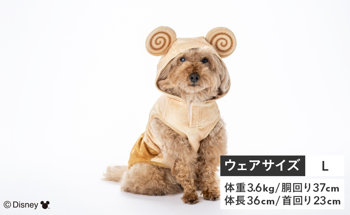 2026年春夏】おしゃれでかわいい犬服・ドッグウェア特集｜ひんやり機能