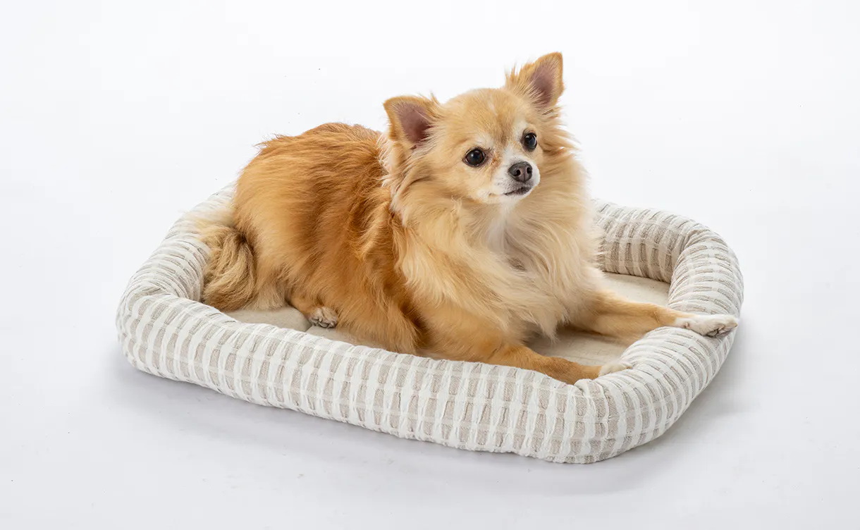 pet_bed_4550596212081_1220x752.jpg