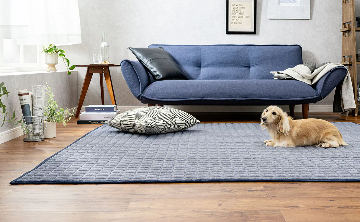 rug_anc01_2_1_1220x752.jpg