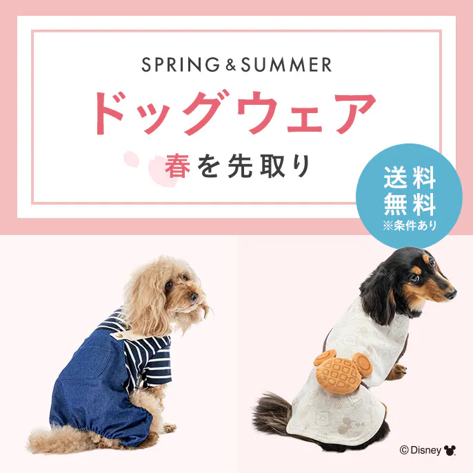 【2026年 春夏】おしゃれでかわいい犬服・ドッグウェア特集｜種類・サイズ・シーン別