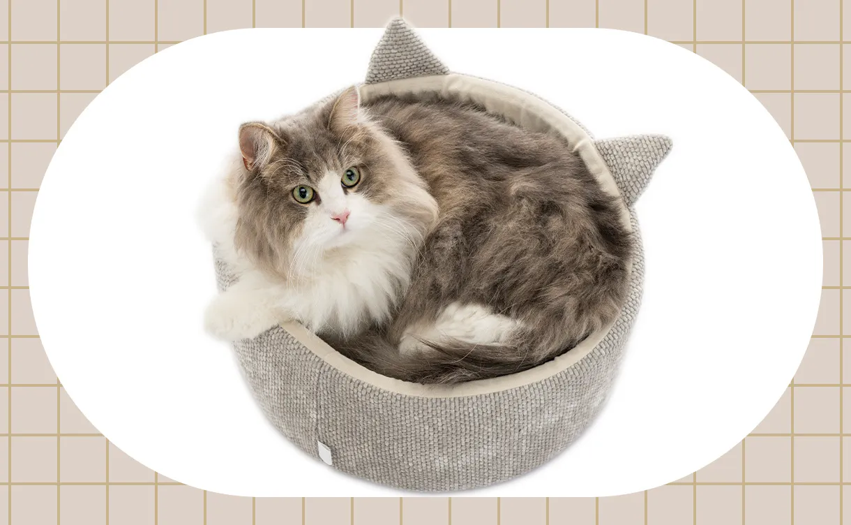 猫用ベッド