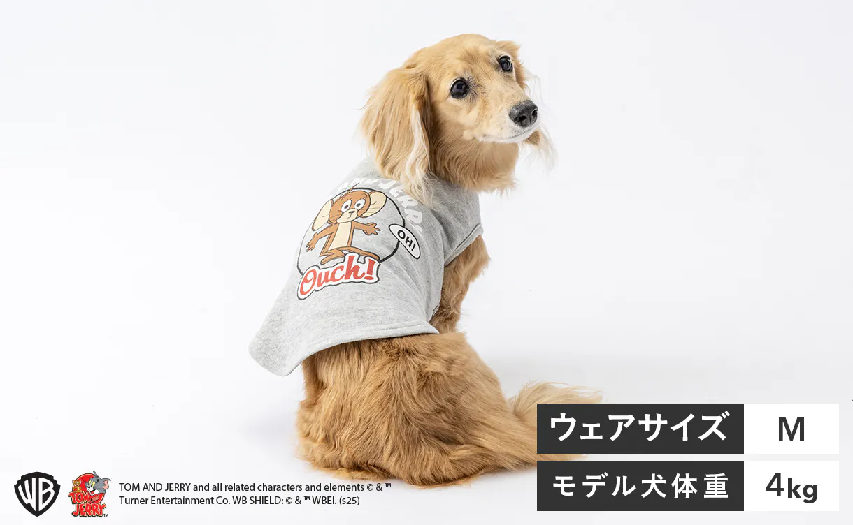 pet_wear_img06_1220x752.jpg