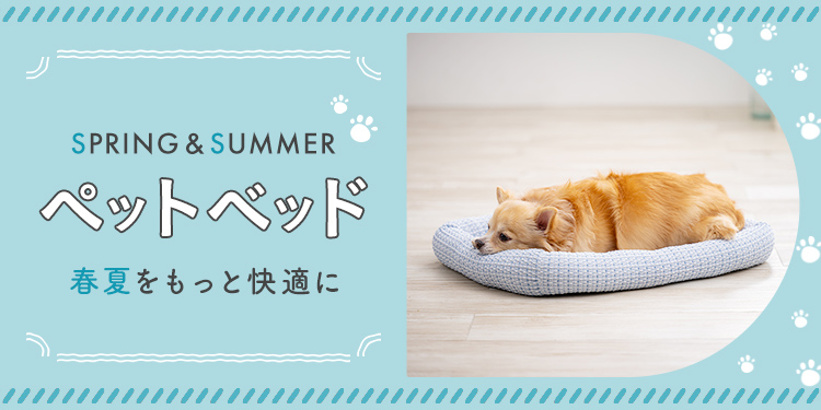 2026年春夏】新作ペットベッドを​機能や​形別に​ご紹介