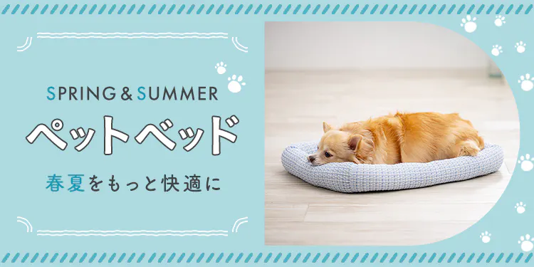 【2026年春夏】新作ペットベッドを​機能や​形別に​ご紹介