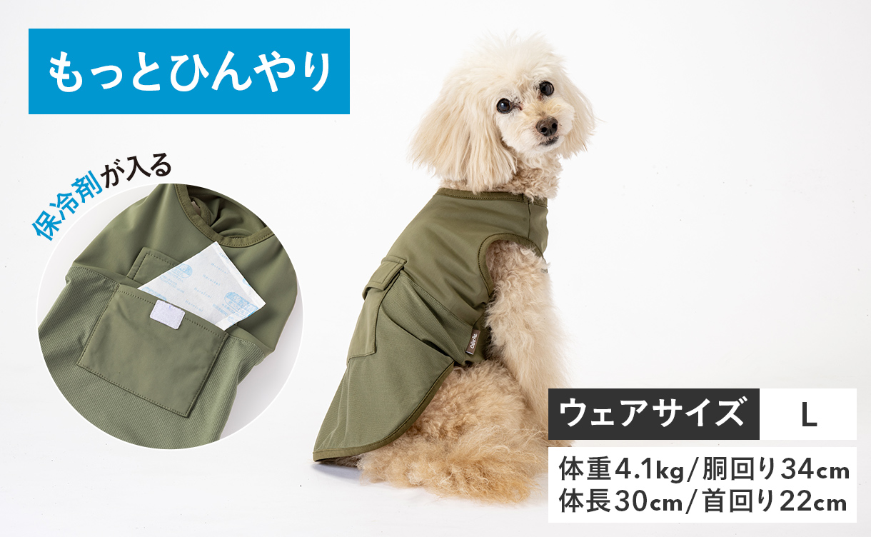 2026年春夏】おしゃれでかわいい犬服・ドッグウェア特集｜ひんやり機能