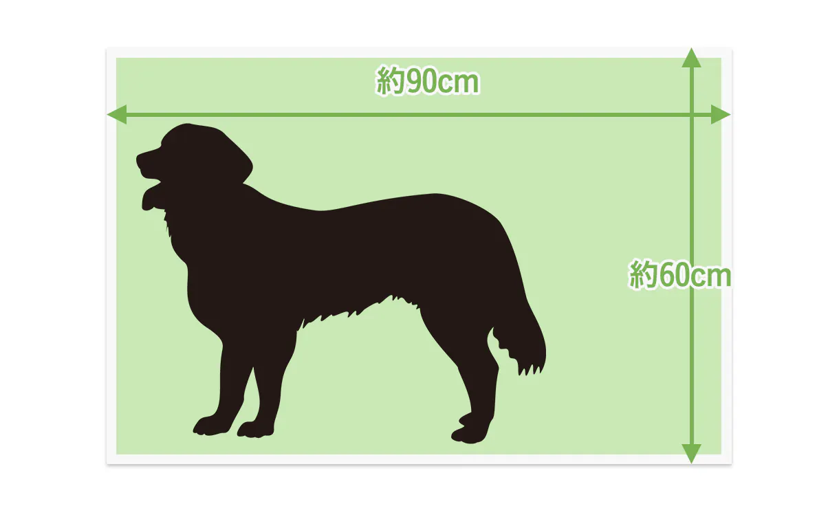 pet_sheets_anc01-3-1_1220x752.jpg