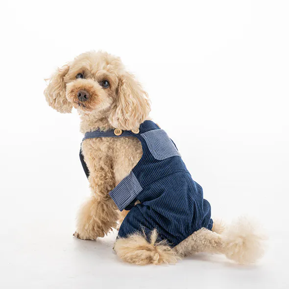 pet_wear_gallery_img2_590x590.jpg