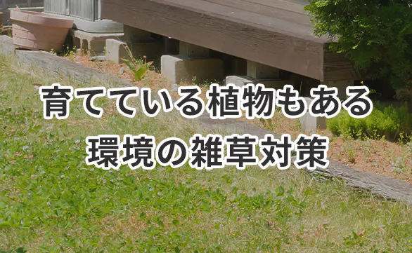 お庭の雑草対策
