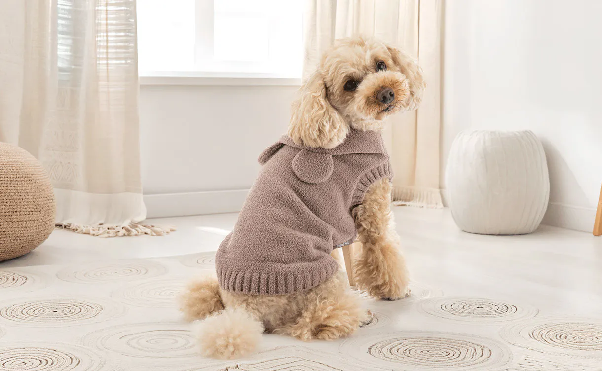 pet_wear_4550596256139_1220x752.jpg
