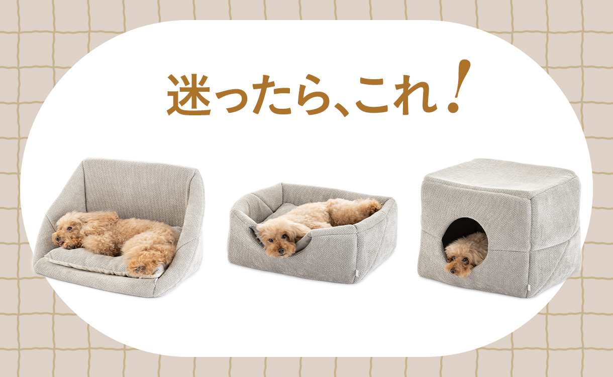 ペットベット犬猫用 2026年秋冬】犬用・猫用ベッド特集｜くつろぎ方・サイズから​選ぶ