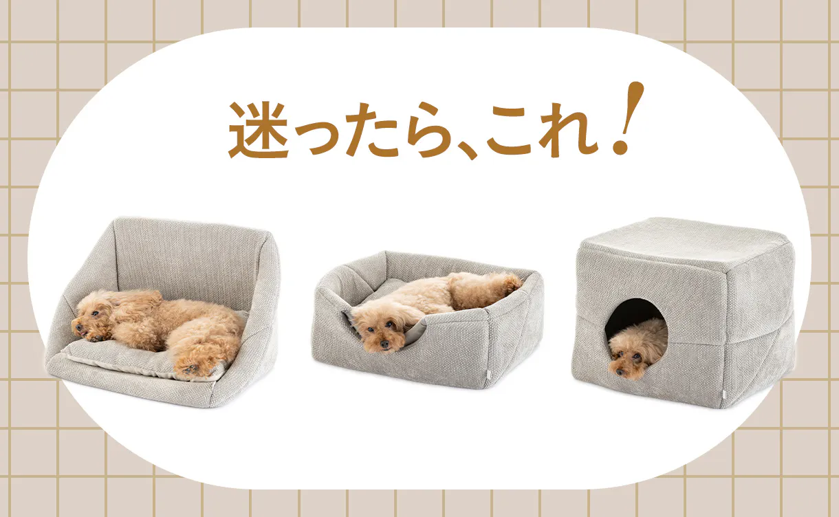 秋の​おすすめペットベッド