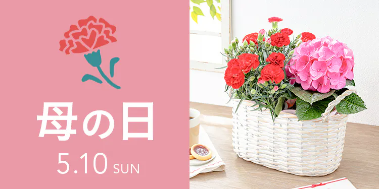 母の日ギフト