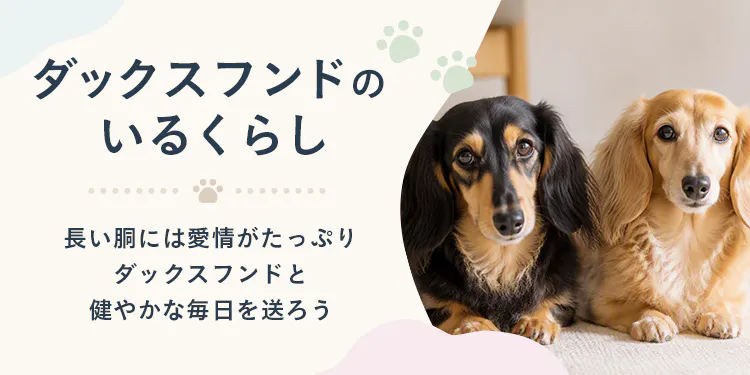 【もっと楽しむ】ダックスフンドのいるくらし