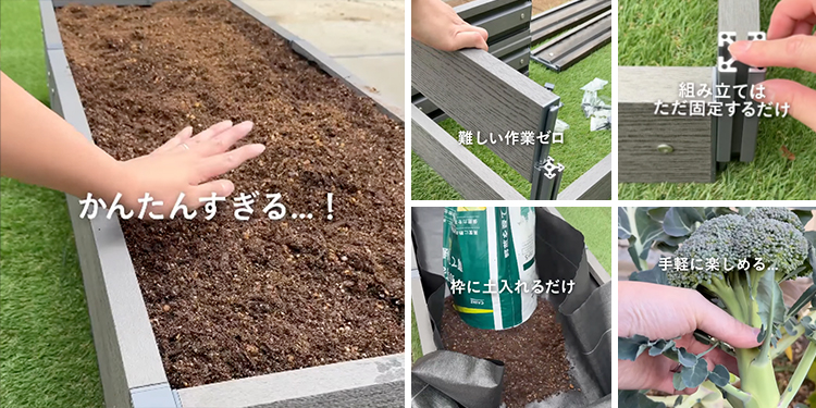 あした、なにする？】家庭菜園のあるくらし｜ホームセンターのカインズ