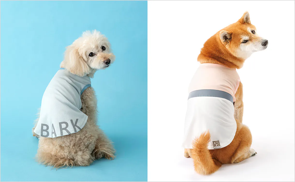 pet_wear_img04_1220x752.jpg
