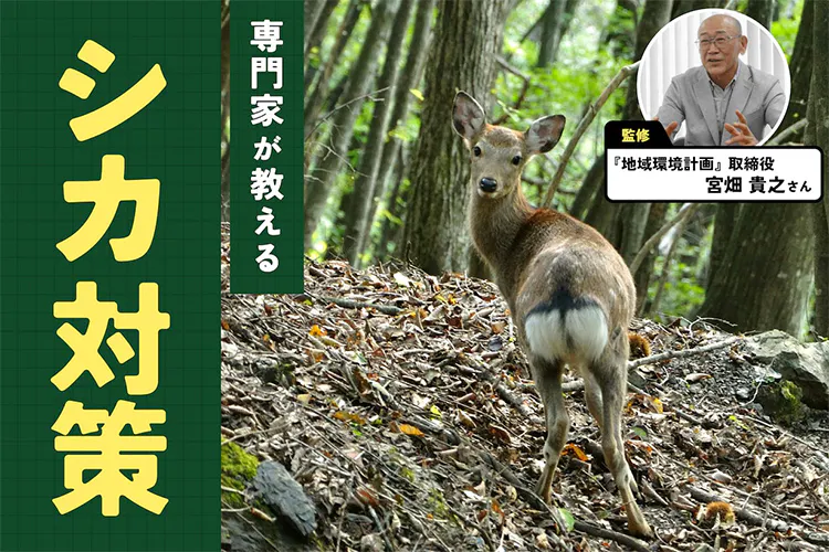 農家の敵・シカ対策の正解は？｜となりのカインズさん