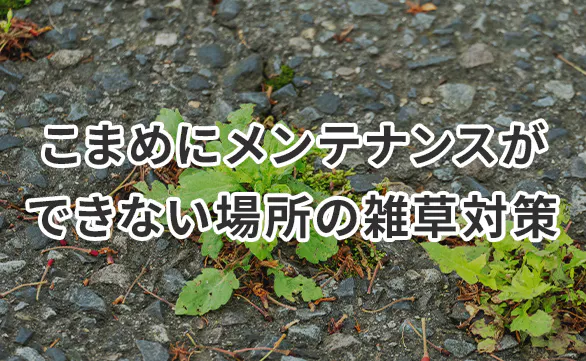 駐車場・空き地の雑草対策