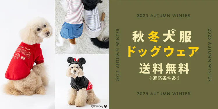 秋冬の新作登場！おしゃれで機能的な犬服・ドッグウェア特集