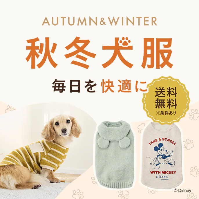 【2026年秋冬】犬服・ドッグウェア特集|機能・サイズ・犬種別